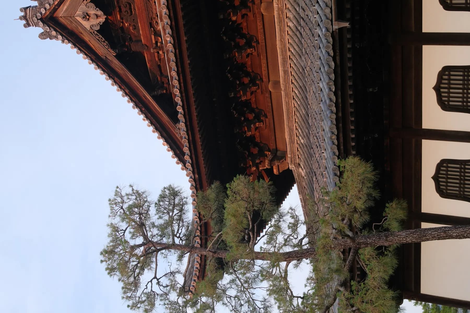 A serene view of a traditional East Asian building with intricate roof details and a pine tree in the foreground