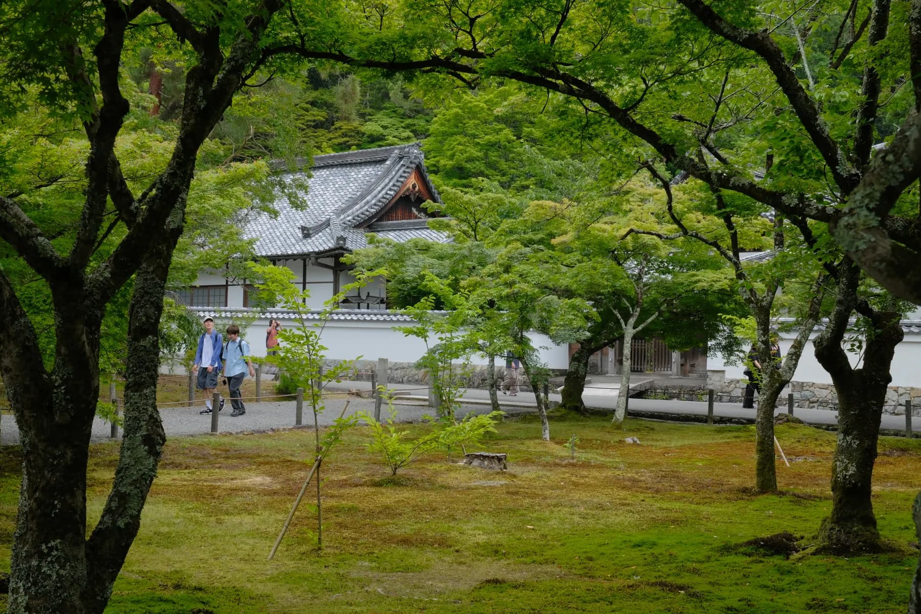 A tranquil scene of people walking along a path surrounded by lush greenery and a traditional building in the background