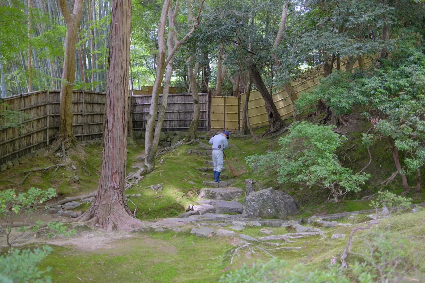 A man is sweeping a stone path in a serene, natural setting with bamboo forest and wooden fence in the background