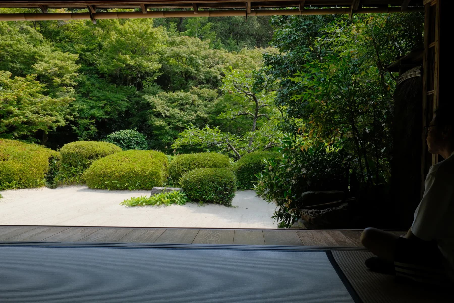 A person sits quietly, gazing out at a tranquil garden scene filled with lush greenery and a peaceful, natural setting