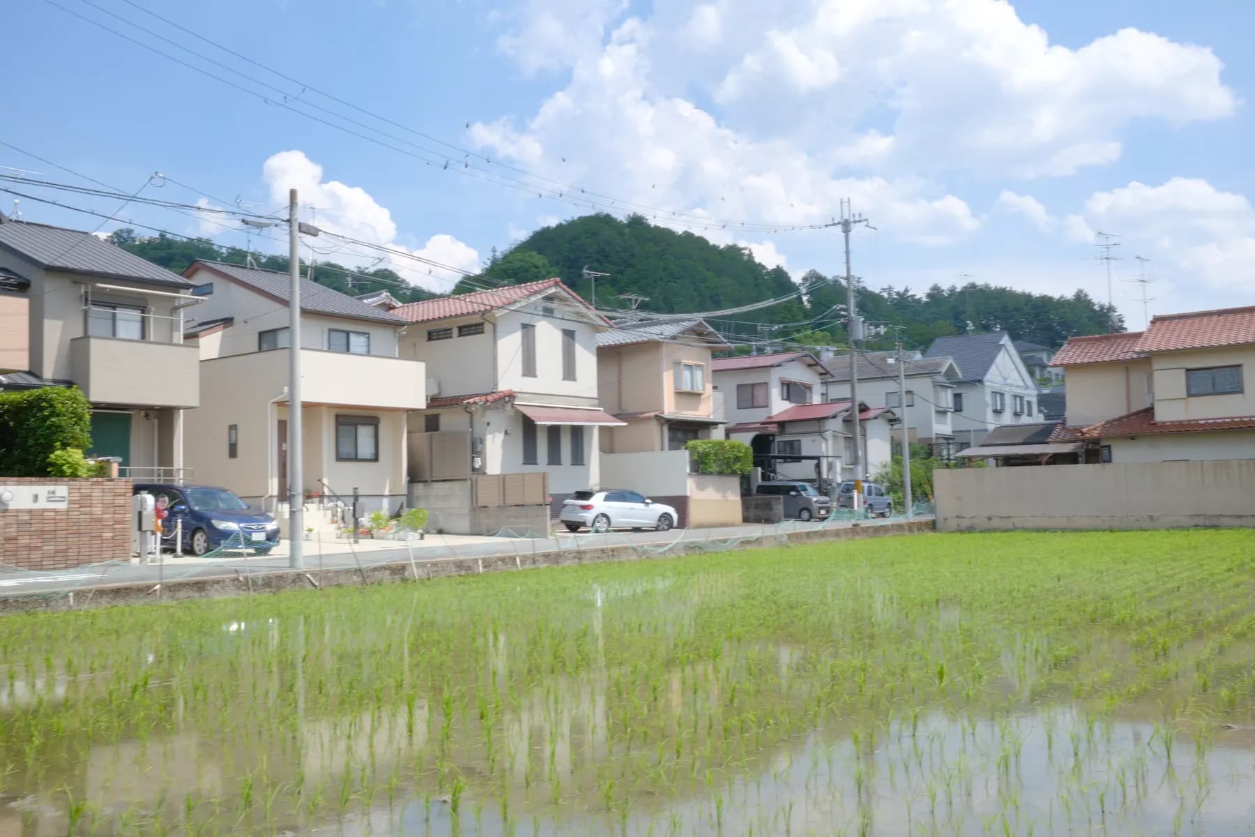 A tranquil rural scene featuring houses, a field, and a distant mountain under a bright sky