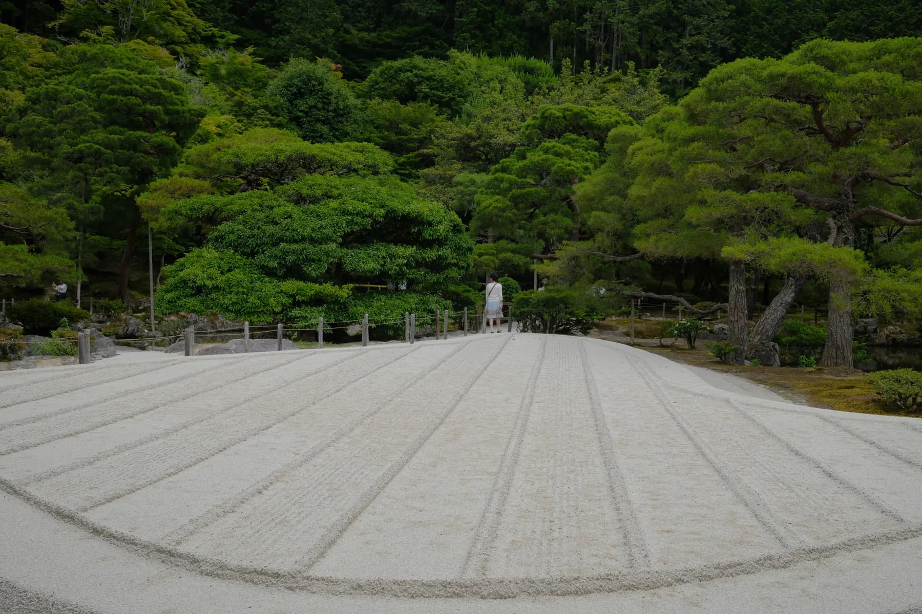 A person walks along a meticulously raked sand path in a tranquil Japanese garden surrounded by lush greenery