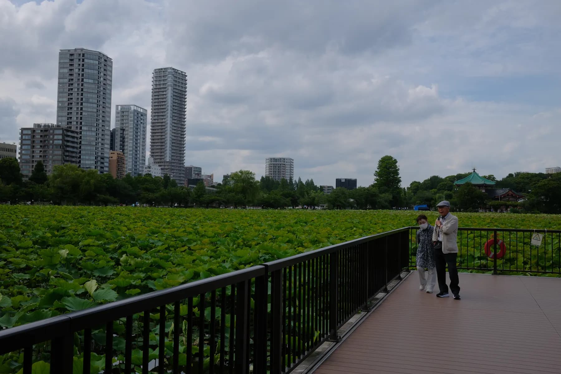A couple walks along a wooden walkway beside a lotus pond, surrounded by tall buildings and lush greenery under a cloudy sky