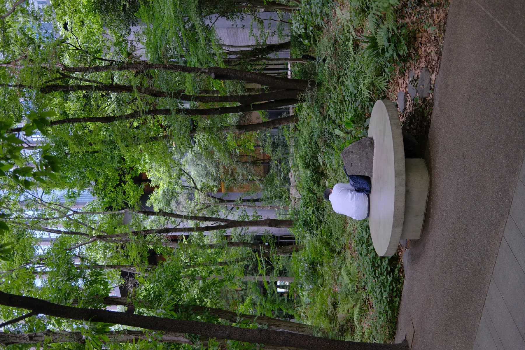 A person is sitting on a bench in a lush green park, surrounded by trees and buildings in the background