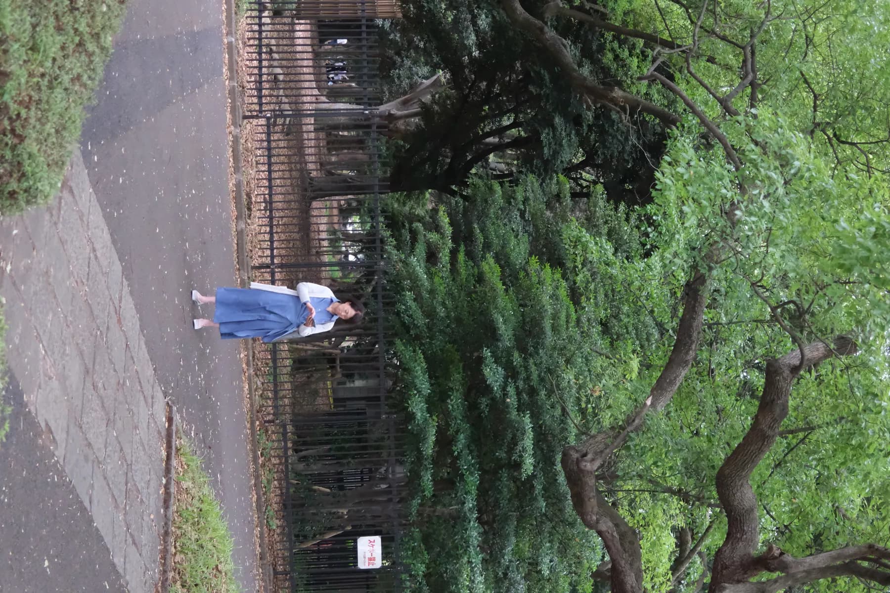 A woman walks along a sidewalk in a park, surrounded by lush greenery and a metal fence