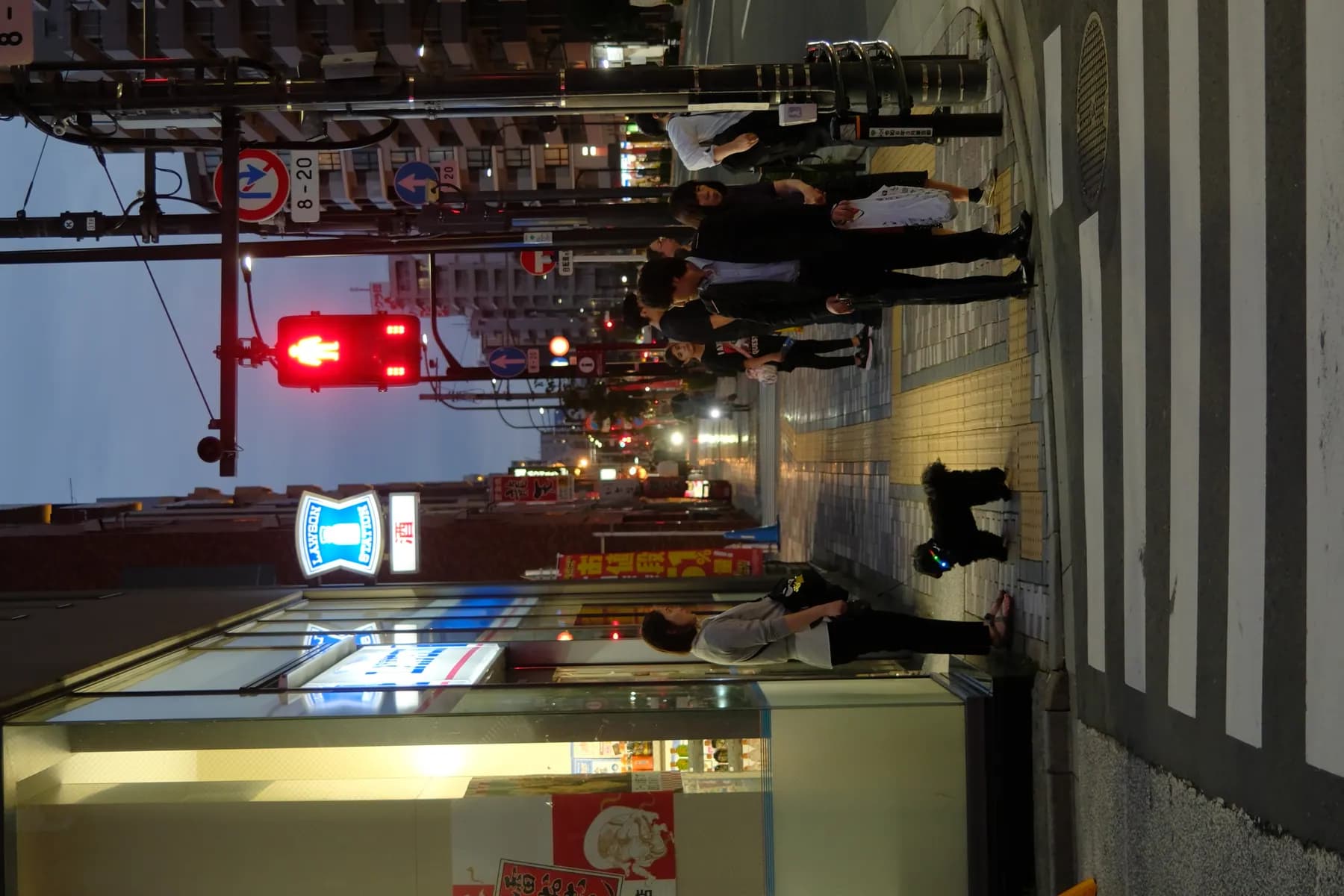 A street scene at sunset with people waiting at a pedestrian crossing and a dog standing nearby