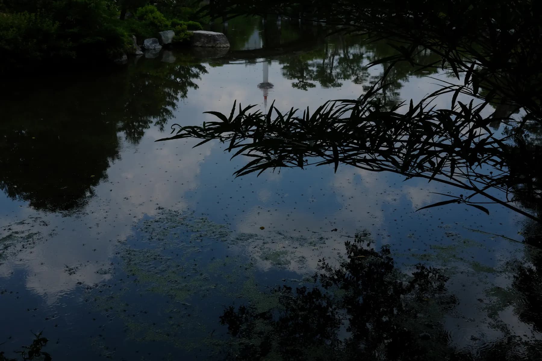 A tranquil scene of a pond reflecting the sky and surrounding trees, with a hint of urban architecture in the distance