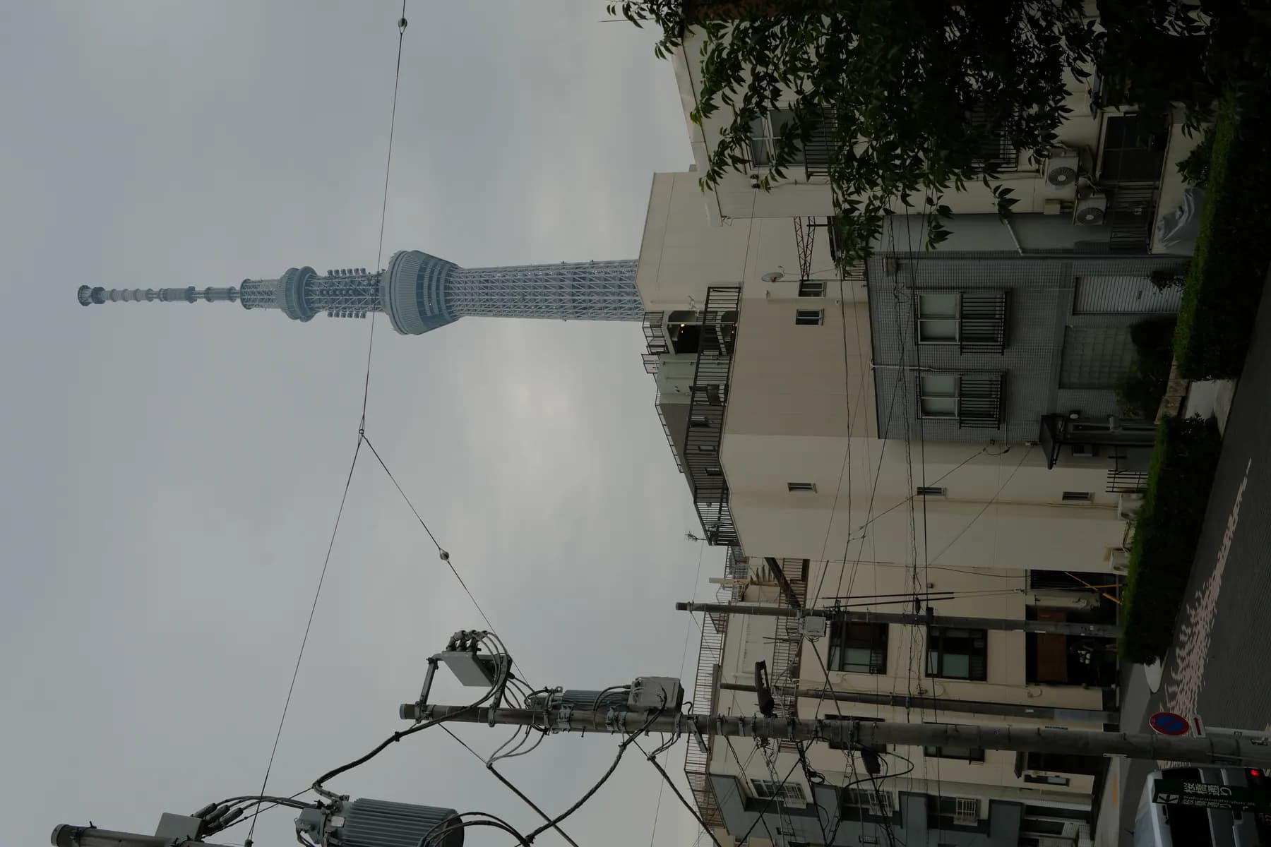 A serene urban landscape featuring the Tokyo Skytree towering over residential buildings and power lines