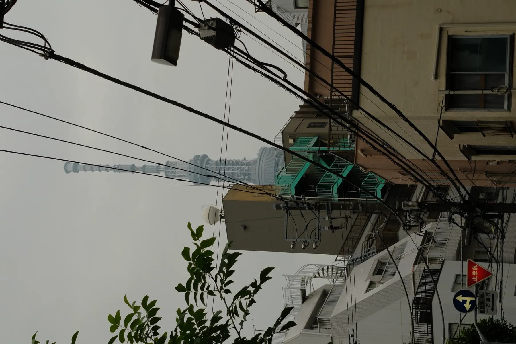 A view of a cityscape with a prominent tower and tangled power lines, framed by buildings and a tree