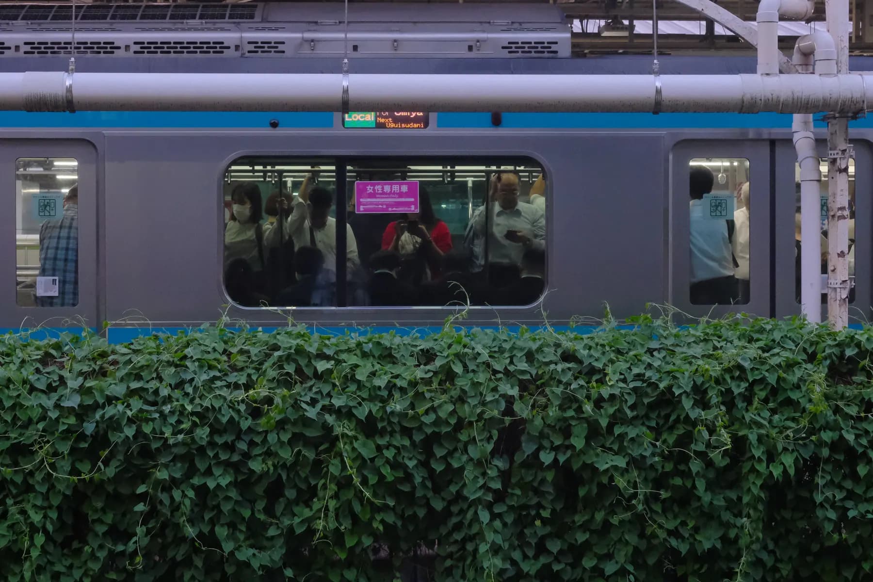 A crowded train with people riding and a sign indicating a women-only car, set against a backdrop of greenery