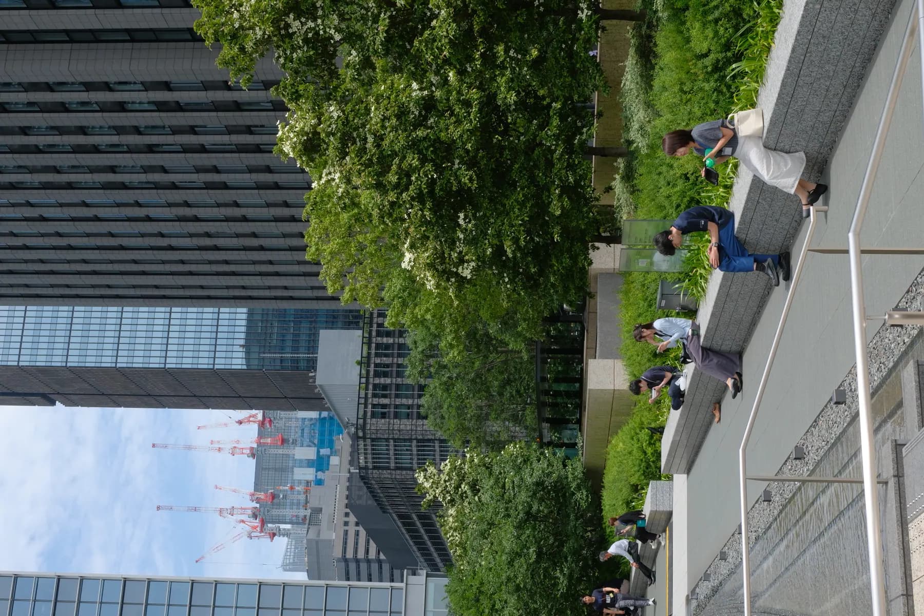 A group of people relaxing on a bench in an urban park with tall buildings and construction cranes in the background