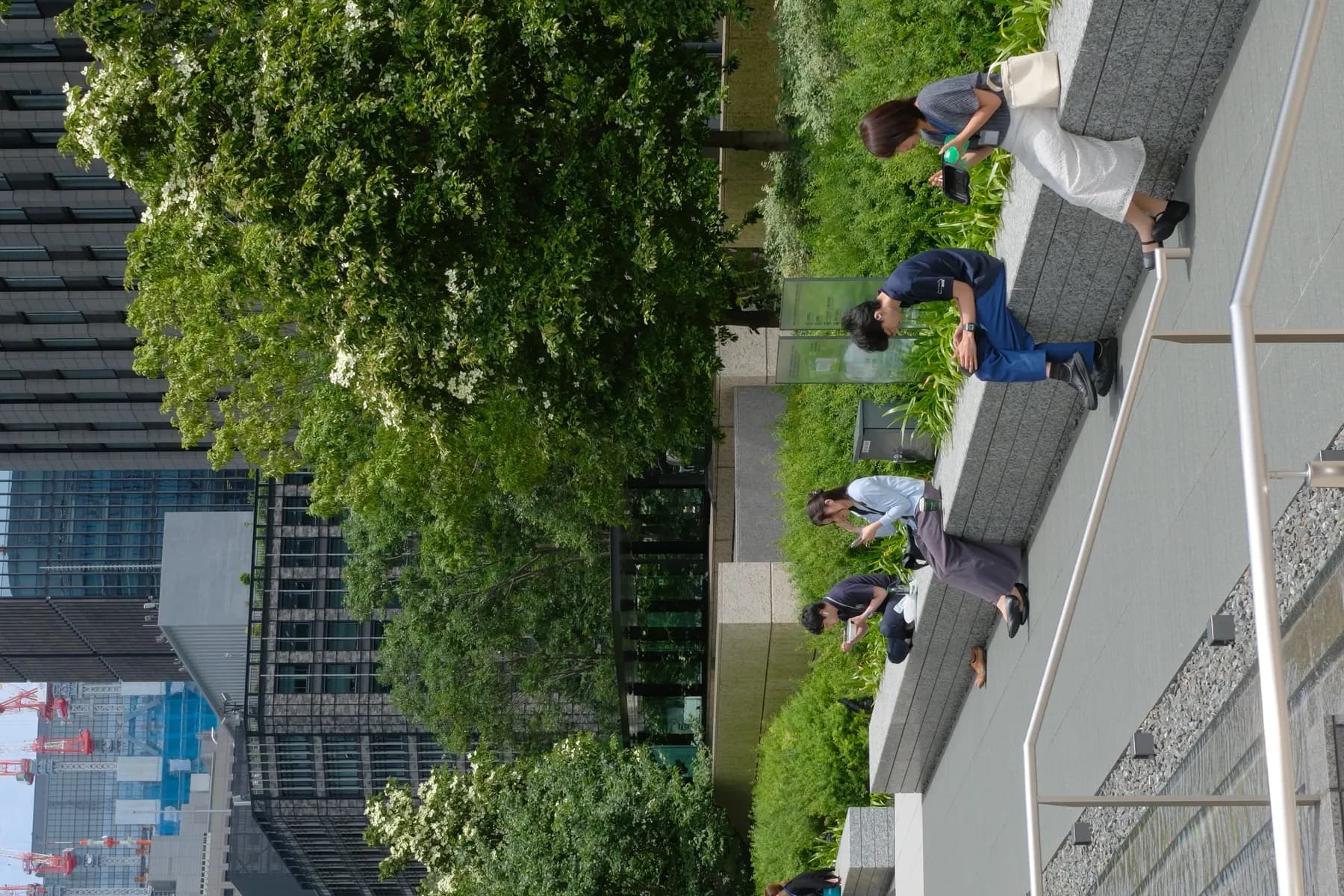 People are relaxing in a park-like setting with urban buildings in the background