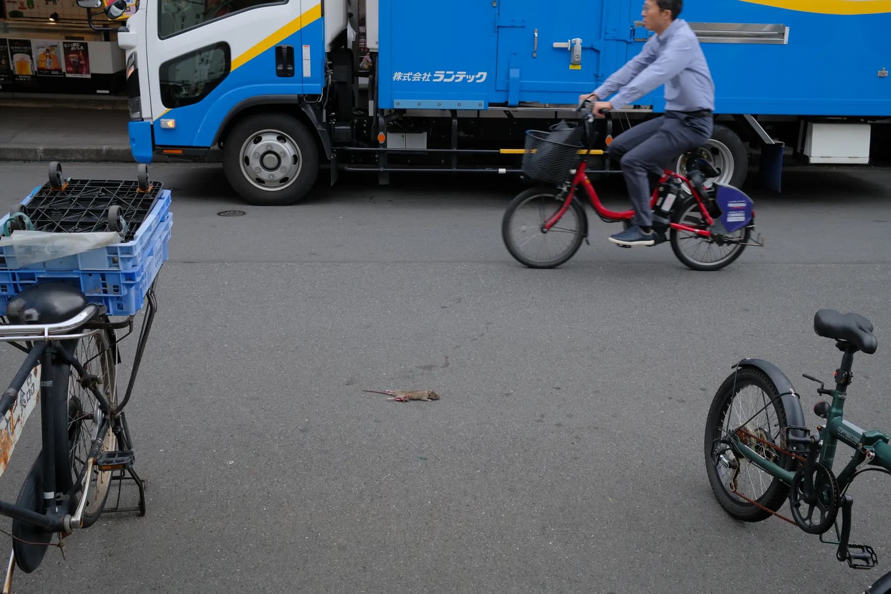 A man rides a bicycle past a dead rat on the street, with a truck and bicycles in the background