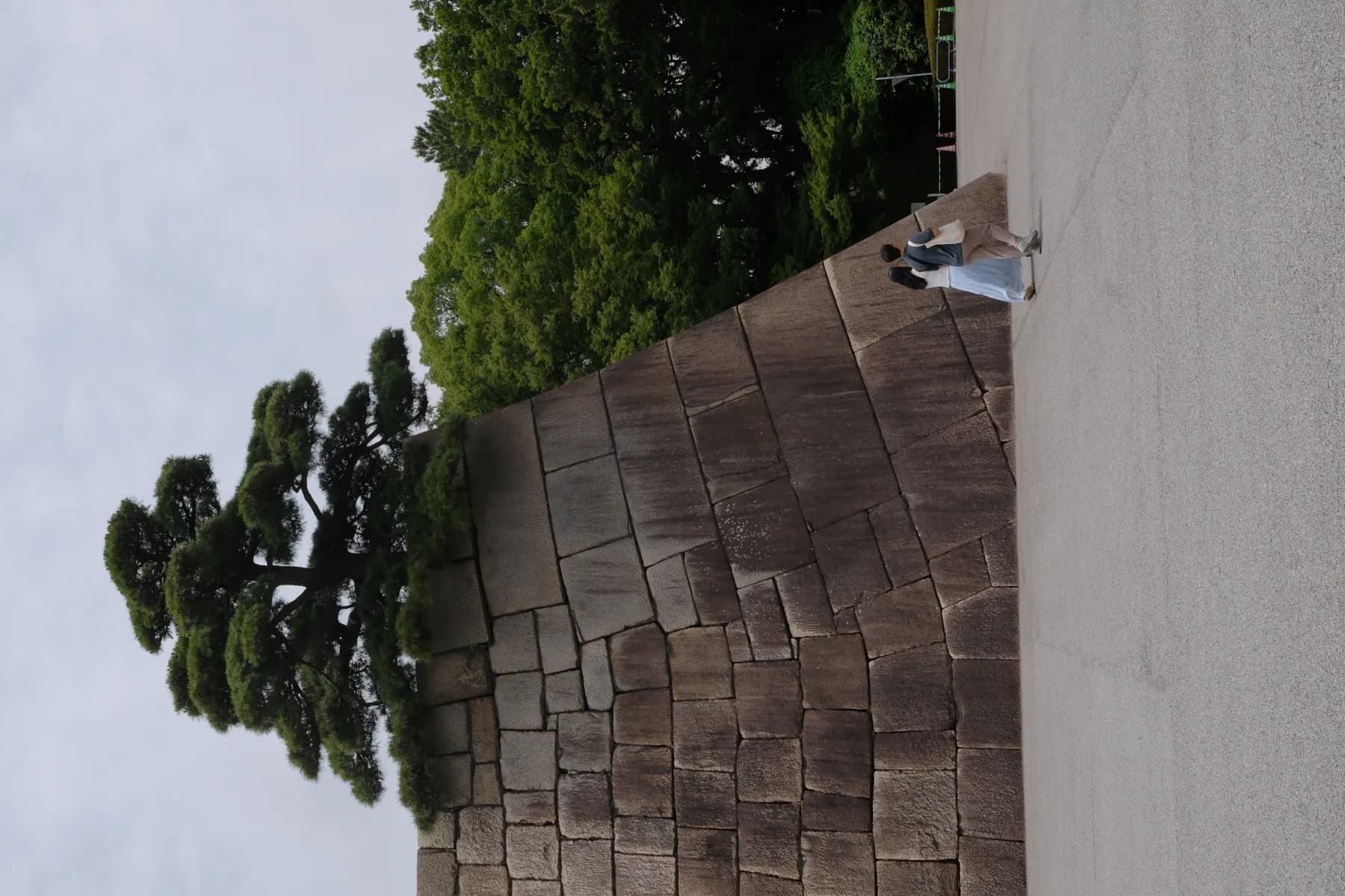 Two people walk alongside a large stone wall with a tree growing on top, surrounded by lush greenery