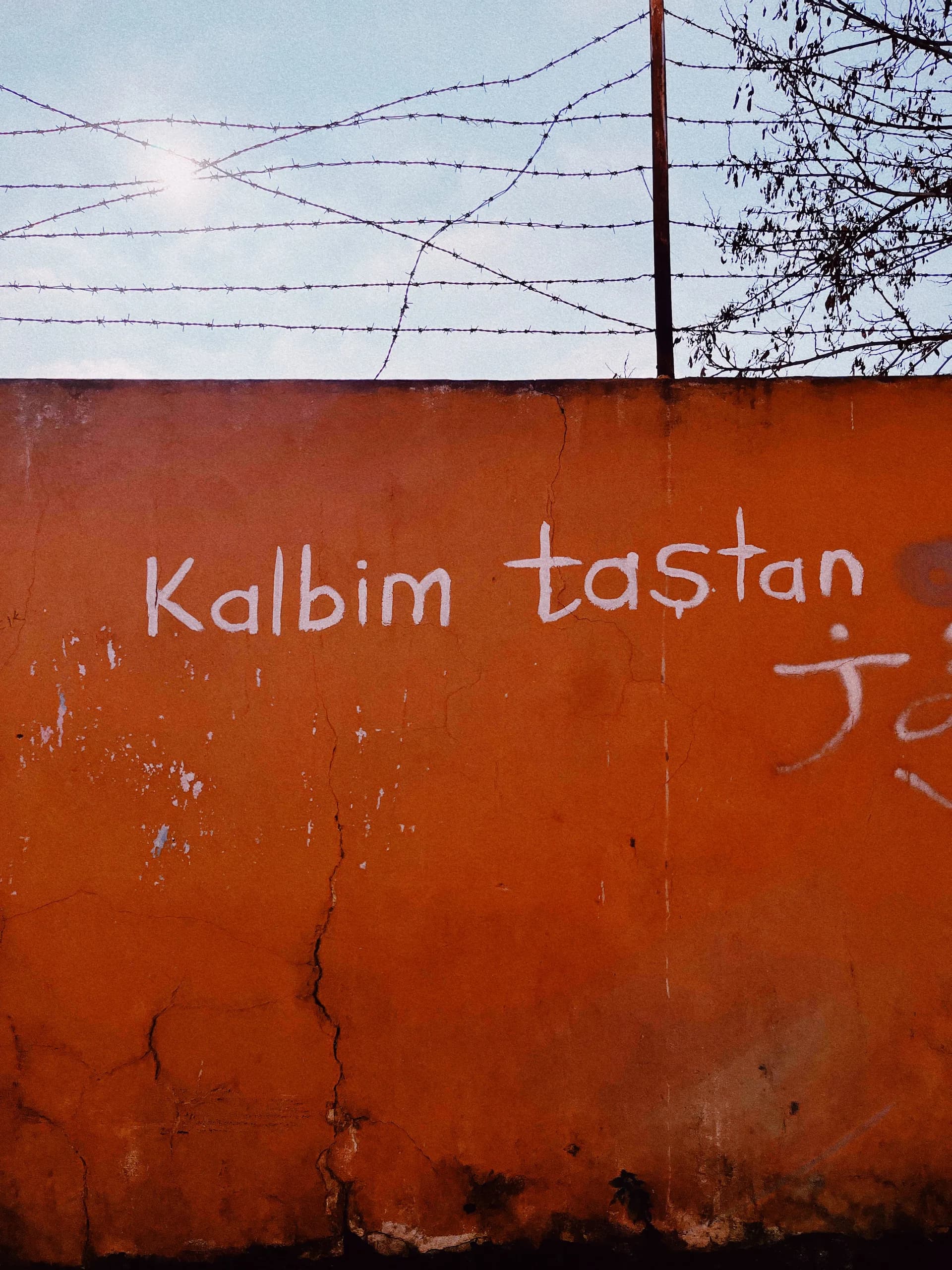 116f7b0e 3ea2 413b 96bf 3ce375c14f66